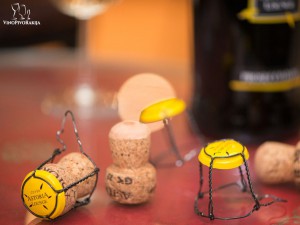 WSET_o1